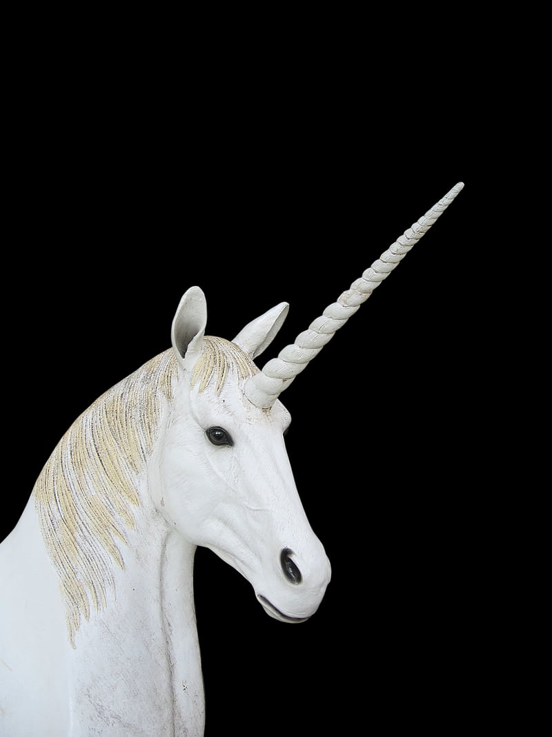 Enchanted Sword